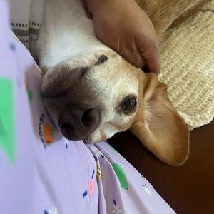 Meet your Posher, Daniela